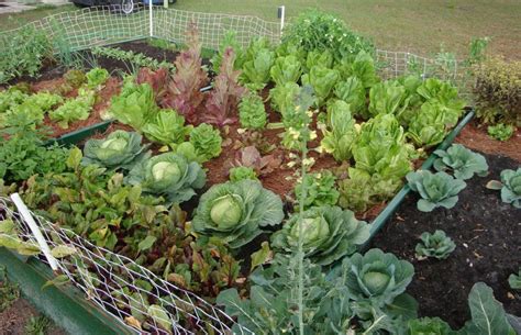 While these types of vegetable gardens can still be effective. DIY Awesome Vegetable Gardening Tips | EASY DIY and CRAFTS
