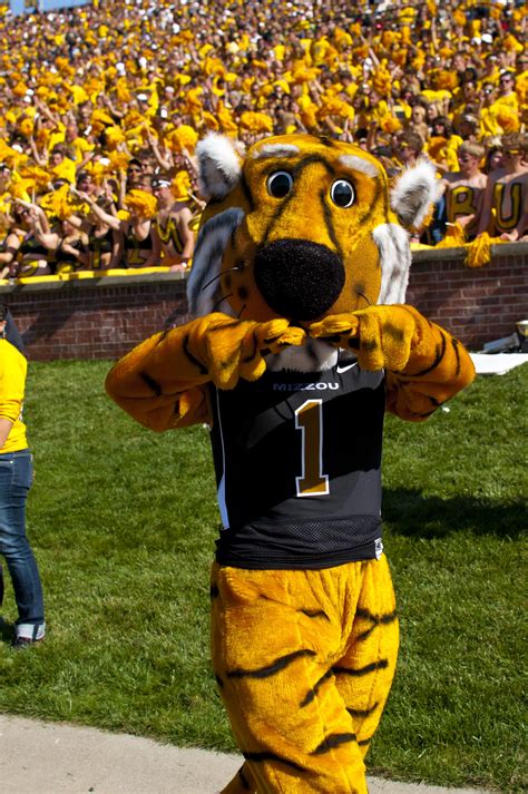 Missouri Mascot Truman The Tiger Roams The Sidelines In Front Of A Sea