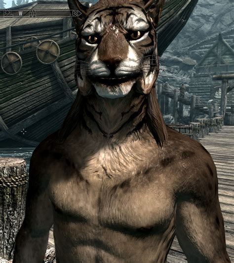 Bad Dogs Compleat Khajiit Page 3 Downloads Skyrim