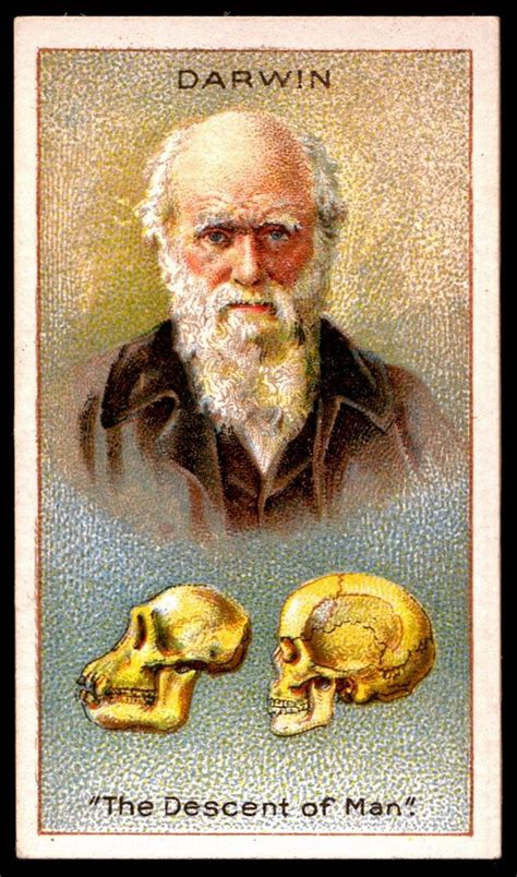 Charles Darwin Robert Darwin Les Religions Natural Selection