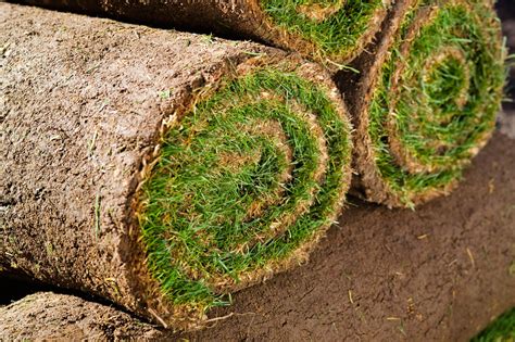 Monty don prepares the ground before laying new turf for a lawn, giving tips on digging, levelling and weeding. How to prepare ground for a new lawn | Garden soil, Garden ...
