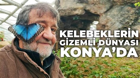 Kelebekler N G Zeml D Nyasi Konya Da Youtube