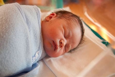 Cara Daftar Bpjs Kesehatan Bagi Bayi Yang Baru Lahir Wahana News