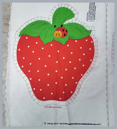 Strawberry Shortcake Pre Printed Fabric Panel Pillows Toinettes