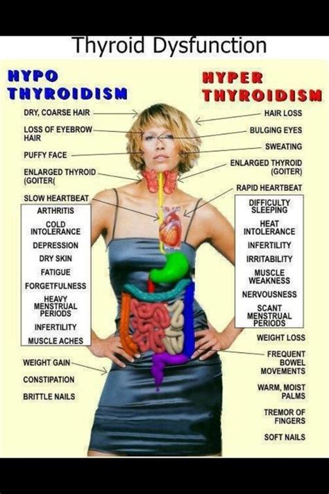 Thyroid Symptoms In Women 11 Signs And Symptoms Of Thyroid Problems