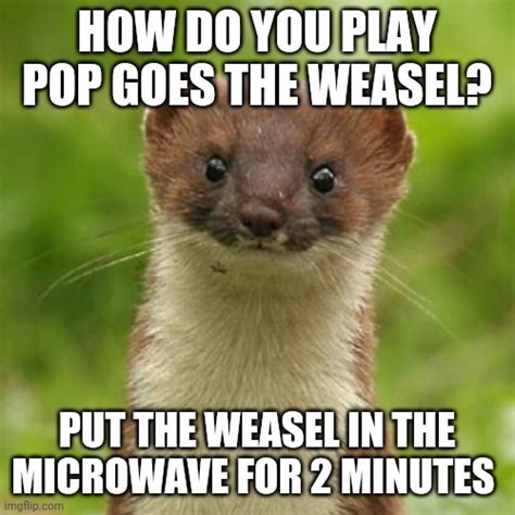 No Weason Weasel Imgflip