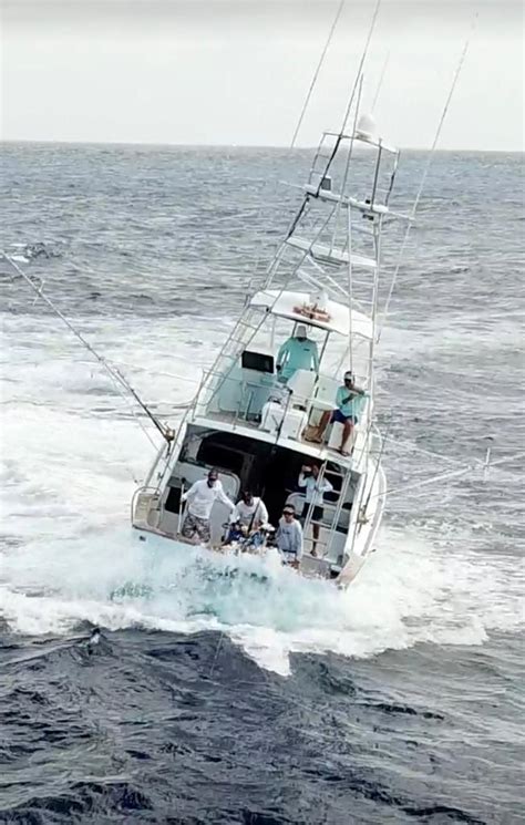 Heavy Tackle Charters Australian Marlin Viking Ii Marlin Fishing
