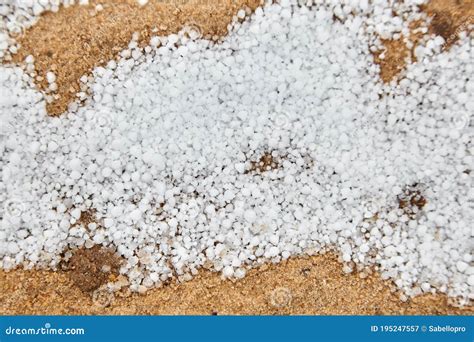 Snow Pellets Graupel Or Soft Hail On The Ground Form Of Precipitation