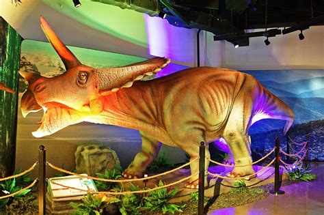 In Photos What To Expect At Mind Museums Dinosaur Exhibit Abs Cbn News