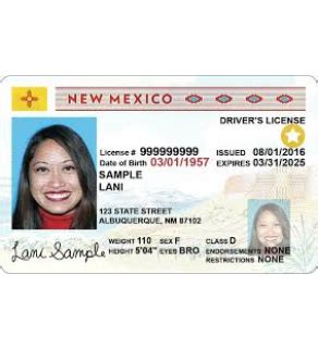 New Mexico Driver's License, Novelty | Drivers license, Passport online, Drivers license california