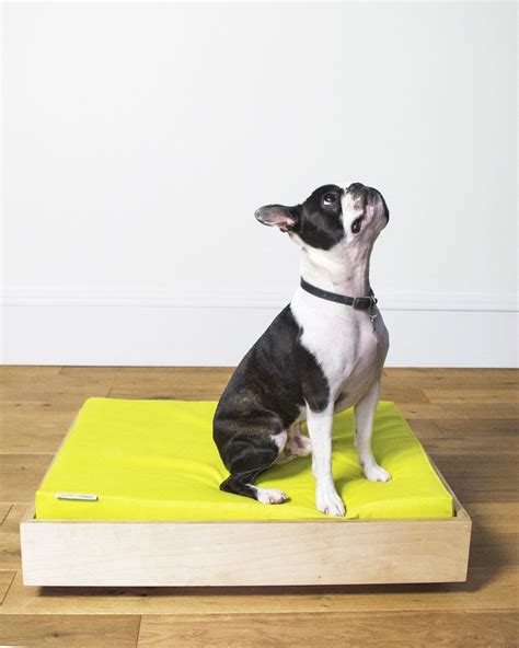 With A Modular Elevated Base These Dog Beds From Hund Haus Are