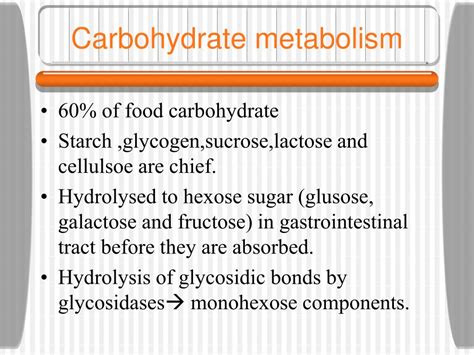 Ppt Carbohydrate Metabolism Powerpoint Presentation Free Download