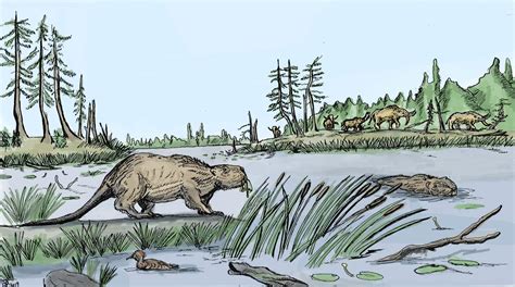 Why Giant Beavers Went Extinct 10000 Years Ago Scinews