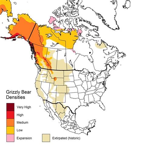 A Blueprint For Conservation Success — Yellowstone To Yukon