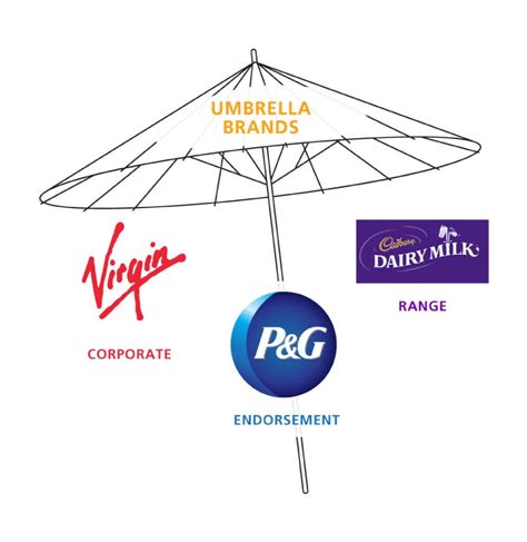Umbrella Brands Brand Architecture Strategy And Synergy