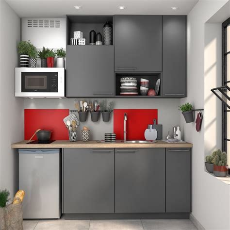 Sans pour autant négliger ni l'esthétique ni l'aspect fonctionnel. Notre collection de cuisines en 2020 (avec images) | Cuisine studio, Amenagement petite cuisine ...