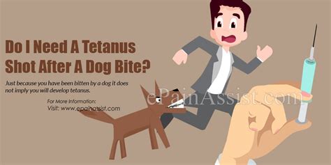 Do You Need A Tetanus Shot After Dog Bite