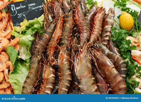 Fresh Shrimps On Market Stock Photo Image Of Provence 48103942