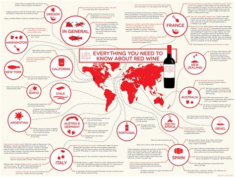Red Wine Infographic Everything You Need To Know About Red Wine Red