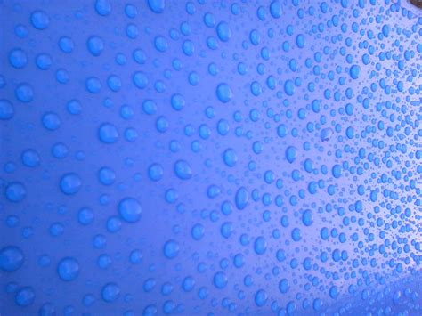 무료 이미지 자연 하락 이슬 젖은 무늬 선 날씨 응축 푸른 원 빗방울 파라솔 모양 수분 물방울