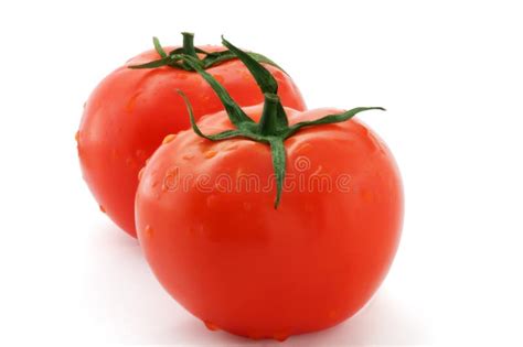 Rotten Tomato 2 Stock Image Image Of Rotten Fruits Perish 1541695