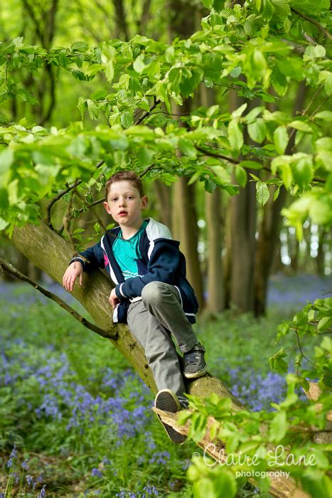 Spring Bluebells I Hertfordshire Photographer Claire Lane Photography