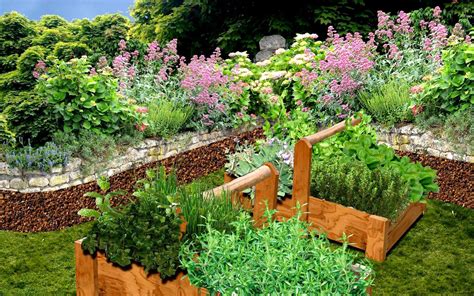 Comment Disposer Les Plantes Dans Un Jardin ? - MamanSanta