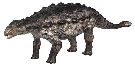Imagen Ankylosaurus Png Wiki Prehistórico Fandom Powered By Wikia