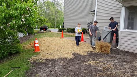 Growing grass from seed is often difficult, usually because homeowners don't keep the seeds sufficiently watered during germination and in the early stages of growth. Peat Moss Or Straw For Grass Seed | Shapeyourminds.com