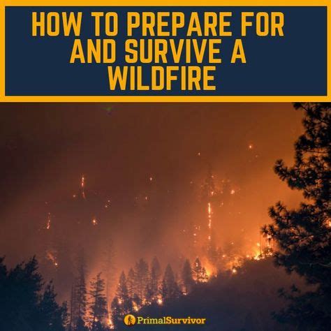 How To Prepare For And Survive A Wildfire Survival Survival Skills