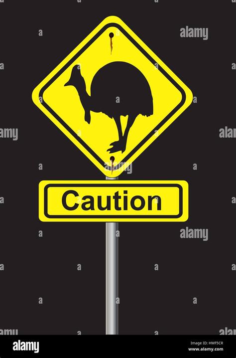 Cassowary Warning Sign Stock Vector Images Alamy