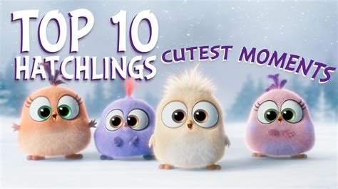 Angry Birds Top 10 Hatchlings Cutest Moments Youtube