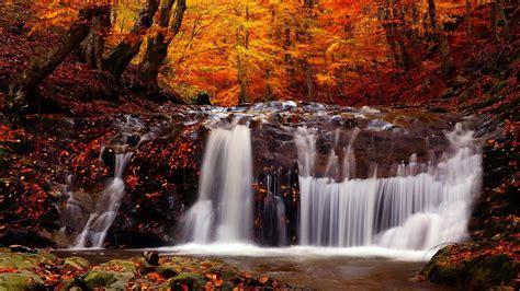 Nature Landscape Fall River Trees Waterfall Wallpapers Hd