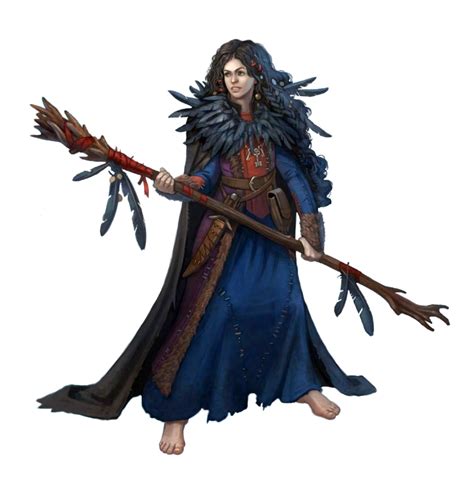 Female Human Arctic Druid Or Winter Witch Pathfinder 2e Pfrpg Dnd Dandd