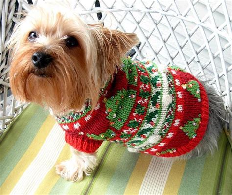 Dog Christmas Sweaters Dress The Dog Clothes For Your Pets