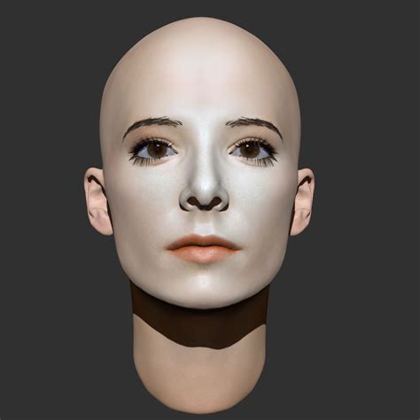 Beauty Woman Head 2 3D Model 70 Ztl Free3D