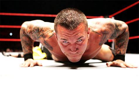 Randy Orton Images The Viper Wallpaper And Background Photos 19262552