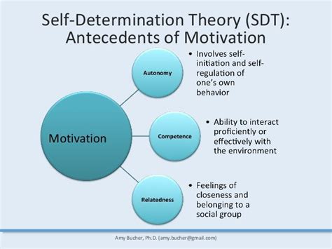 Do you know motivation psychology? Self-Determination Theory (SDT): Antecedents (precursors ...