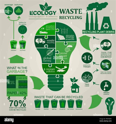 Environment Ecology Infographic Elements Environmental Risks