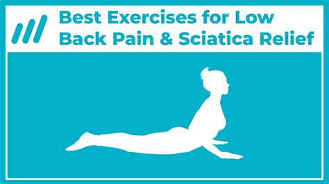 Best Exercises for Low Back Pain & Sciatica Relief | The ...
