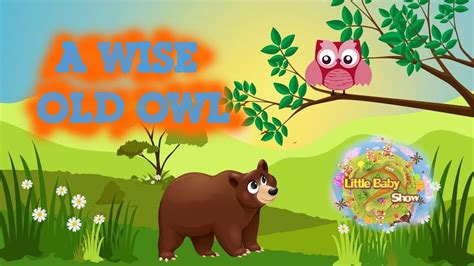 A Wise Old Owl Animated Nursery Rhymes By Little Baby Shows Nursery