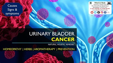 Urinary Bladder Carcinoma Cancer Mind And Body Holistic Health Clinic
