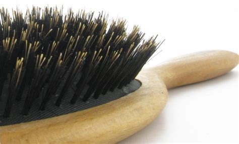 Natural bristle wooden bath shower body back brush spa scrubber bath hair brush. THE NATURAL HAVEN: Can a Boar Bristle Brush Damage Hair?