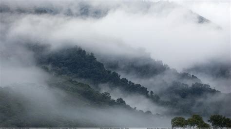 Morning Scene Of Mountains Full Of Fog Wallpaper Mountain Wallpaper