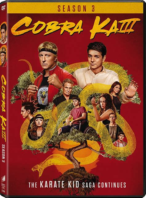 Cobra Kai Season 3 Uk Dvd And Blu Ray