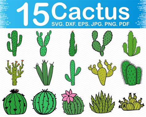 Cactus Svg Cactus Clipart Cute Cactus Svg Files For Cricut Cactus Clip Art Cactus Png Files