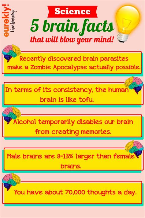5 Amazing Facts About Your Brain Learning Science Cool Science