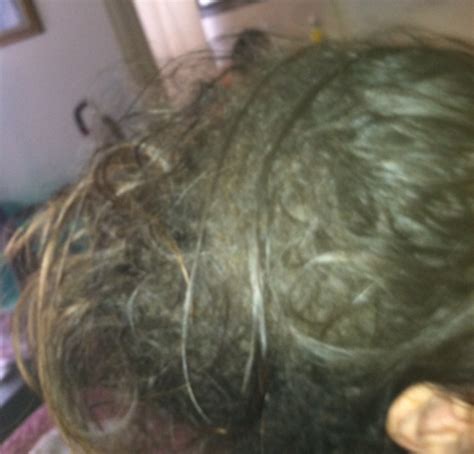 Tangled Hair Techs: Florida, South Hampton & Canada ...