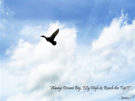 Quotes About Bird Flying 73 Quotes