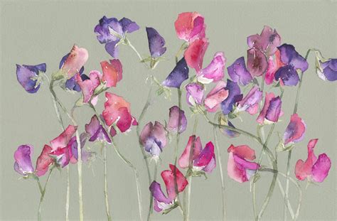 Row Of Sweet Peas Flower Giclée Print Vivienne Cawson Art